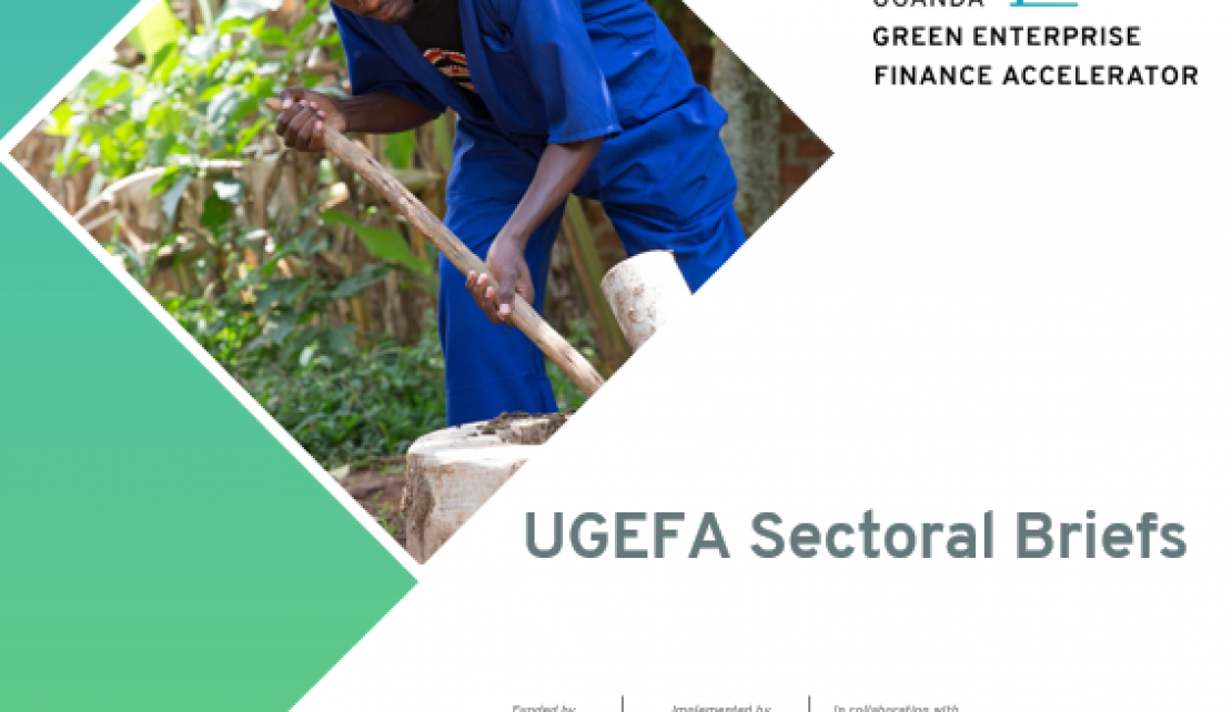 Insights into green sectors with the UGEFA Sectoral Briefs